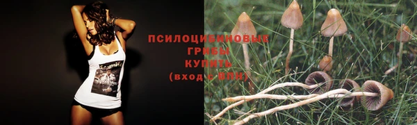 кокс Киренск