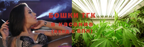 мдпв Козловка